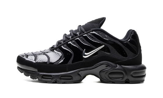 Air Max Plus "Metallic Black" FJ2591 001